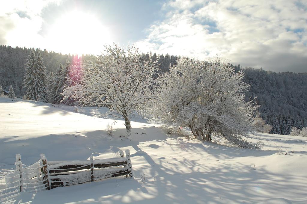 Là Haut&Spa Ventron Chambre photo